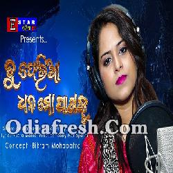 Tu Feria Dhana (Female) Odia Sad Song By Amrita Nayak